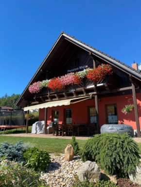 Penzion Major, Rokytnice Nad Jizerou